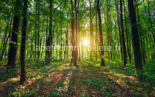 Terrain non constructible Périssac