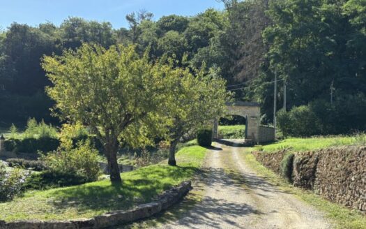 Belle propriété au coeur du Périgord Noir (Domme 24250)